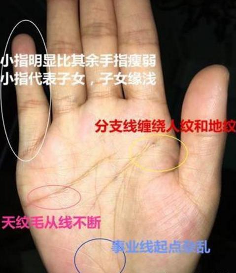 周易命理师傅:总是缺钱花的女人手相:必定此生劳累命