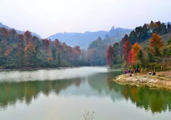 乐业上岗水库枫林门票:免费乐业六为水库距乐业县城约6公里,周围生长