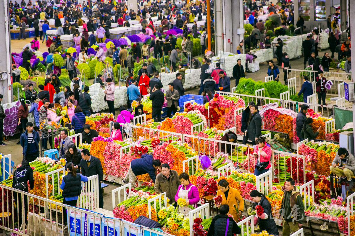 郑州市陈寨花卉市场里开了个农贸市场 - 知乎