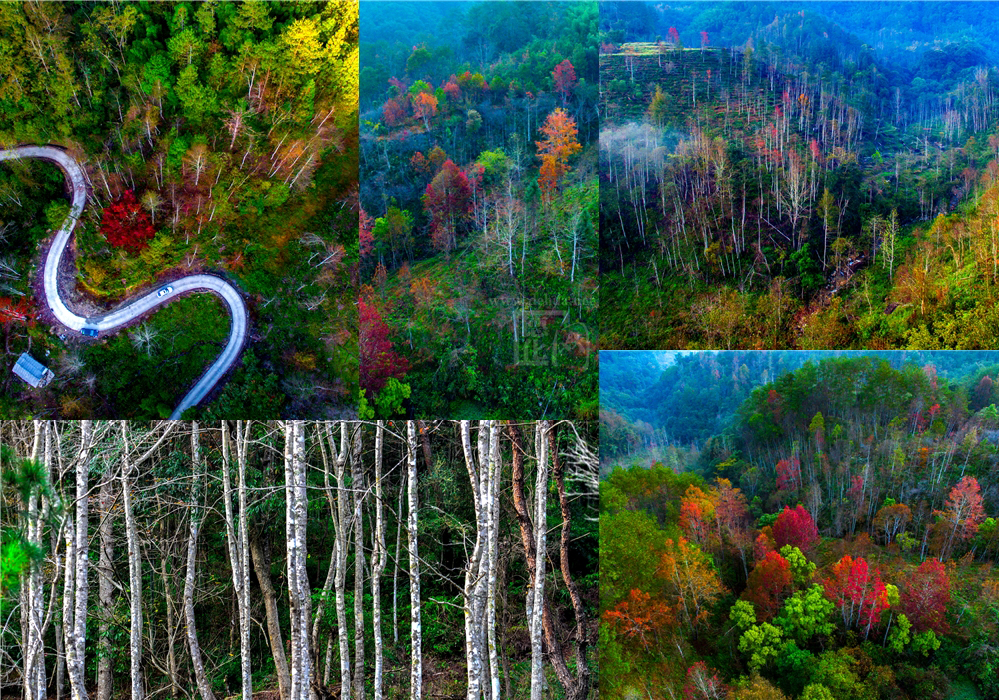 航拍德化牛母岐:漫山红遍,层林尽染!绝色美景惹人醉