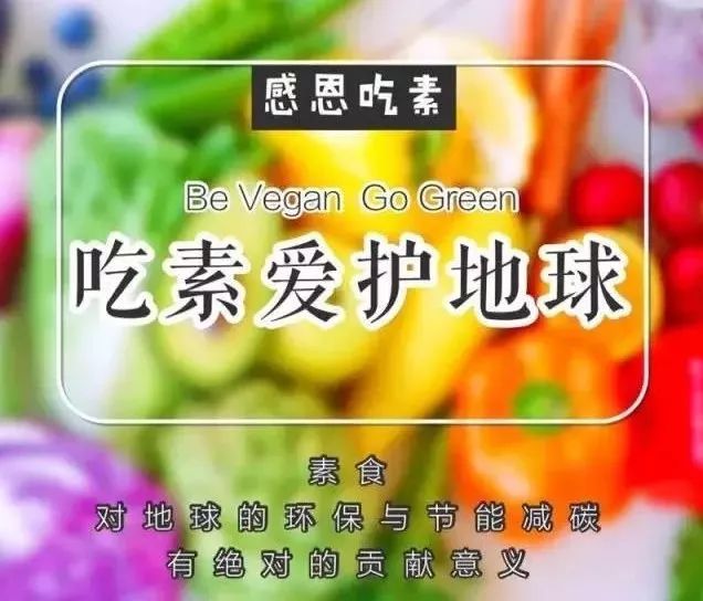 广州素食餐厅汇总吃在广州素馆赶紧收藏