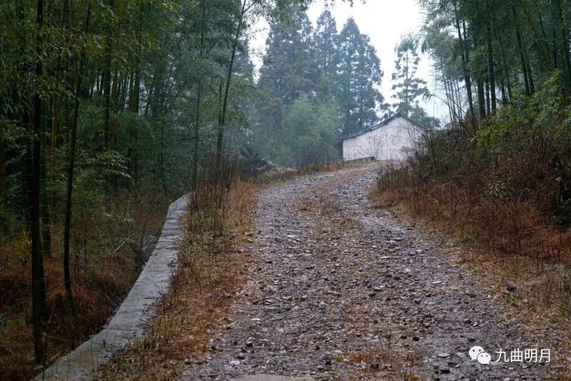 隐在冬日雨雾中的山村—兰峰村