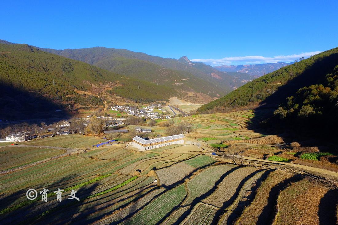 冬季里这里阳光明媚,在云南最美塔城,感受原汁原味的乡村丰收节