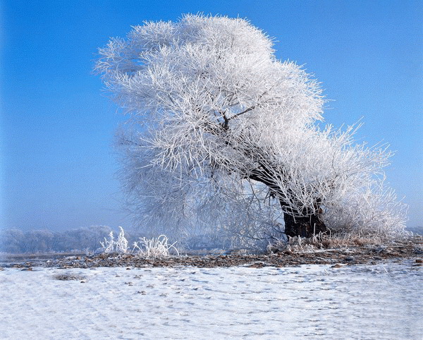 纯音乐 | 班得瑞《初雪》 听雪的声音!