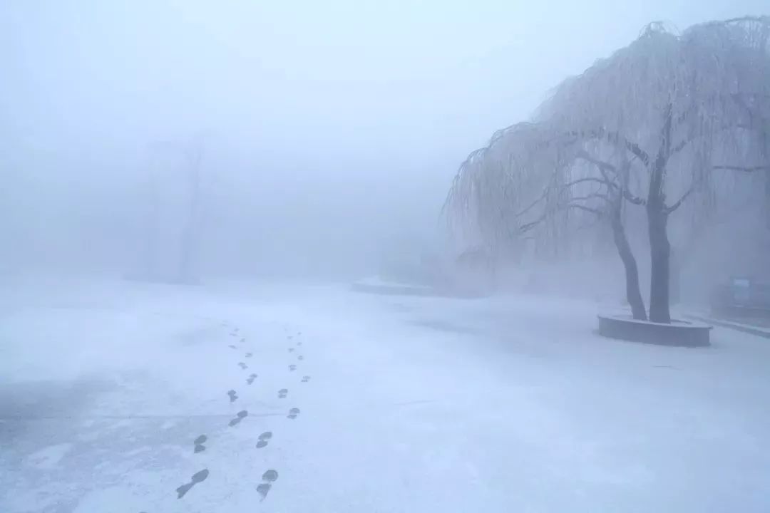 旅游 正文  和相爱的人去庐山走走 江西今年第一场雪飘落在庐山 12月