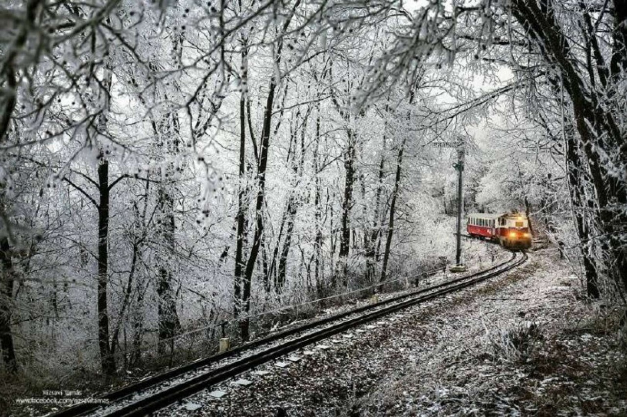 等一场冬雪纷繁 我在等 等听到檐下冰棱碎裂的声音 我在等 c 陈思亮