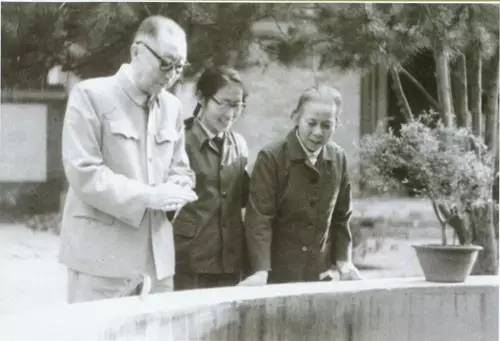 聂荣臻1976年与夫人张瑞华,女儿聂力在庭院小池塘观赏游鱼戏水