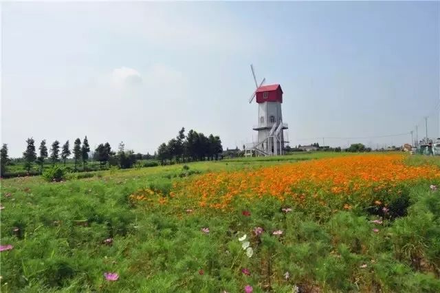 董浜这个村在全省出名了常熟唯一快看看是不是你家