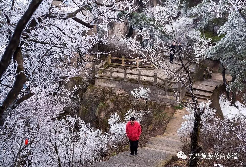 最美花台琉璃世界九华山花台高空栈道今冬赏雪最佳处