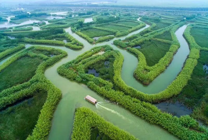 招贤纳士泗洪洪泽湖湿地就差一个你啦