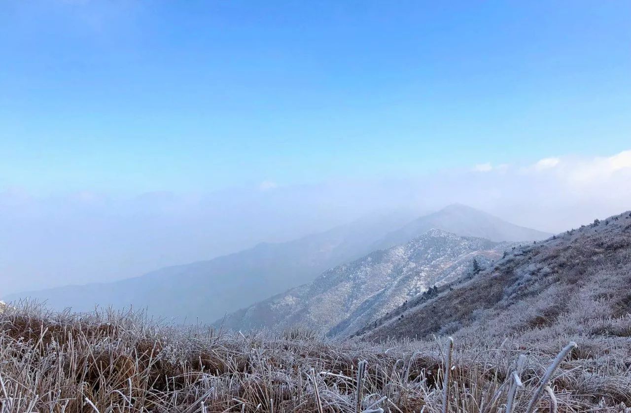 金屏人口_被全国压岁钱地图刷屏 金山人的吐槽实在太扎心(2)