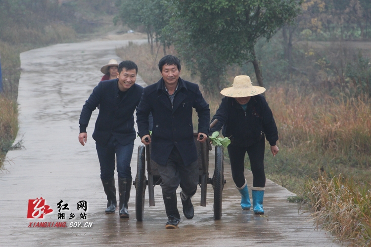 【风采】周颖勇:聚焦农业 带领农民增收 | 向燕