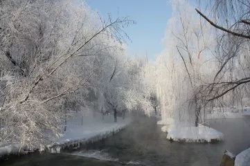 乌鲁木齐下雪啦!