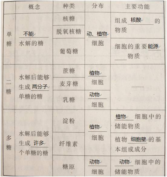 高中学考生物糖类脂质的种类和作用