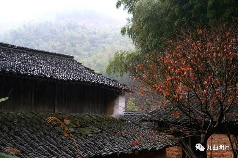 隐在冬日雨雾中的山村—兰峰村