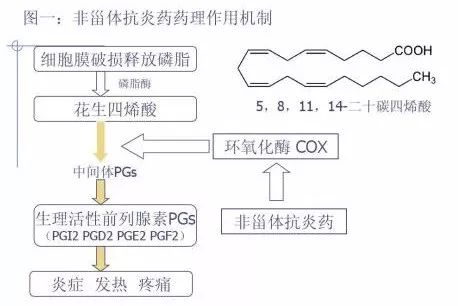 阿司匹林是胃穿孔的帮凶