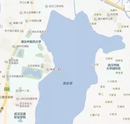 这里安置了武汉工商学院湖北中医药大学武汉科技大学武汉交通职业