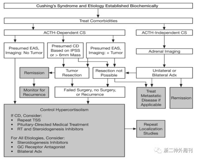 图6 库欣综合征诊疗路径