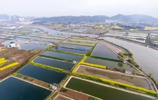 都昌人口_都昌南山风景图片(2)