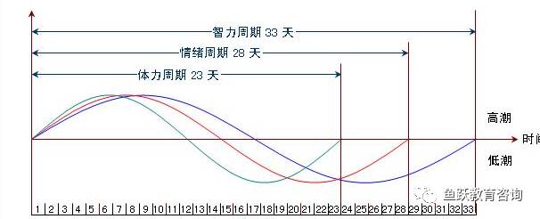 情绪倦怠期的能量曲线