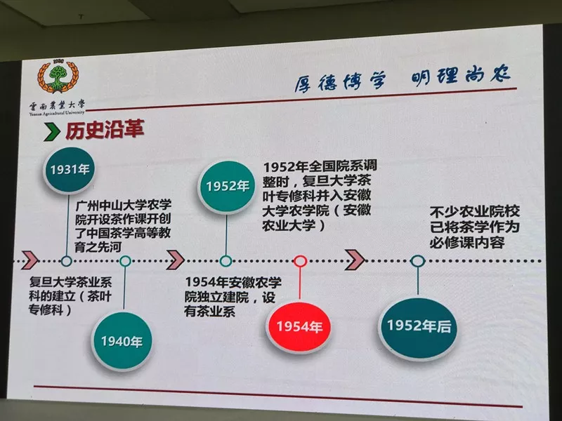 首届中华茶教育可持续发展论坛深圳开幕针砭茶培训乱象激荡茶教育未来