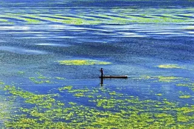 草海是贵州最大的天然淡水湖,是一个完整,典型的高原湿地生态系统,是图片
