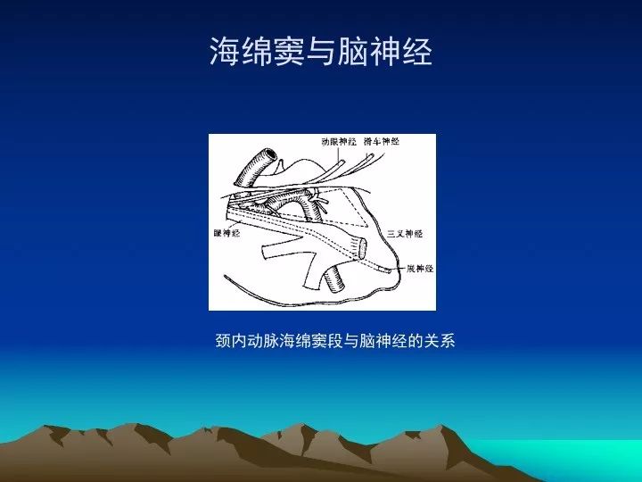 [学习资料]海绵窦的解剖