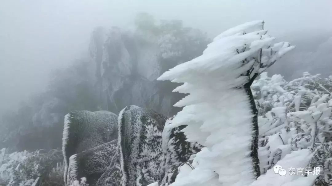 泉州德化九仙山 雾凇覆盖住大地和植被 将世界妆点成白色世界 以下