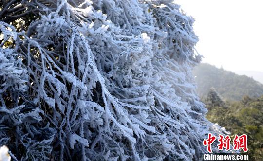 福建长汀供电:严防冰冻雨灾害 让居民平安度冬