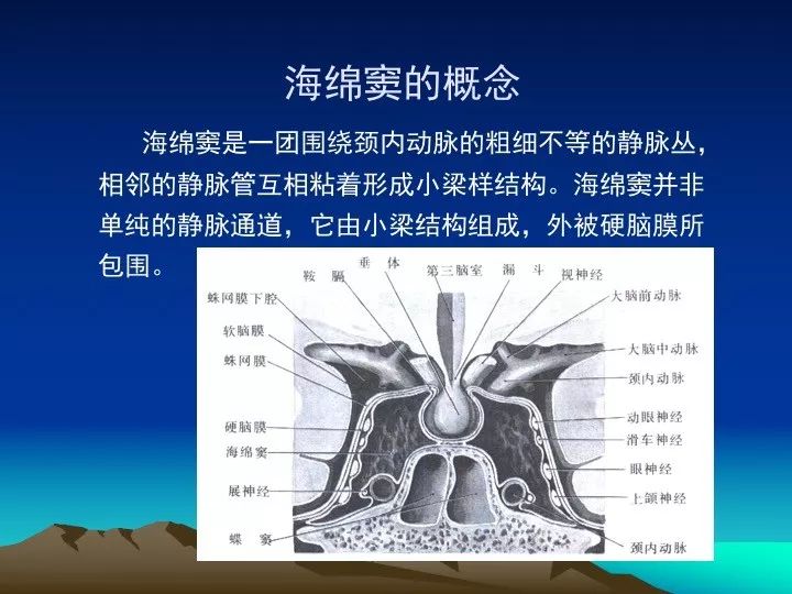 [学习资料]海绵窦的解剖