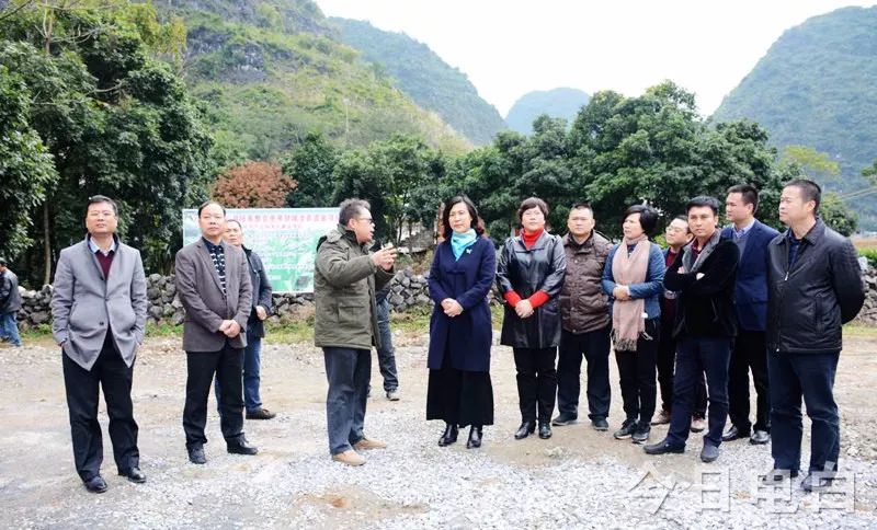 广西马山县古零镇多少人口_马山县古零镇风水宝地