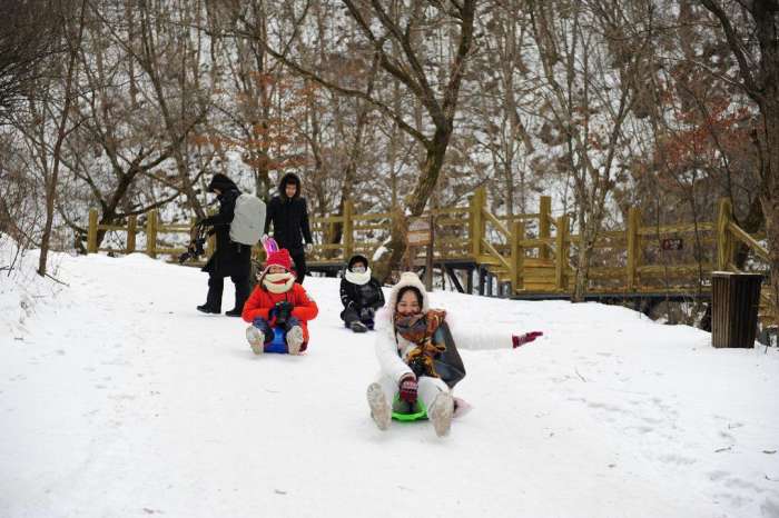 东北人真会玩儿 冬天滑雪有"神器"出门就是溜冰场!