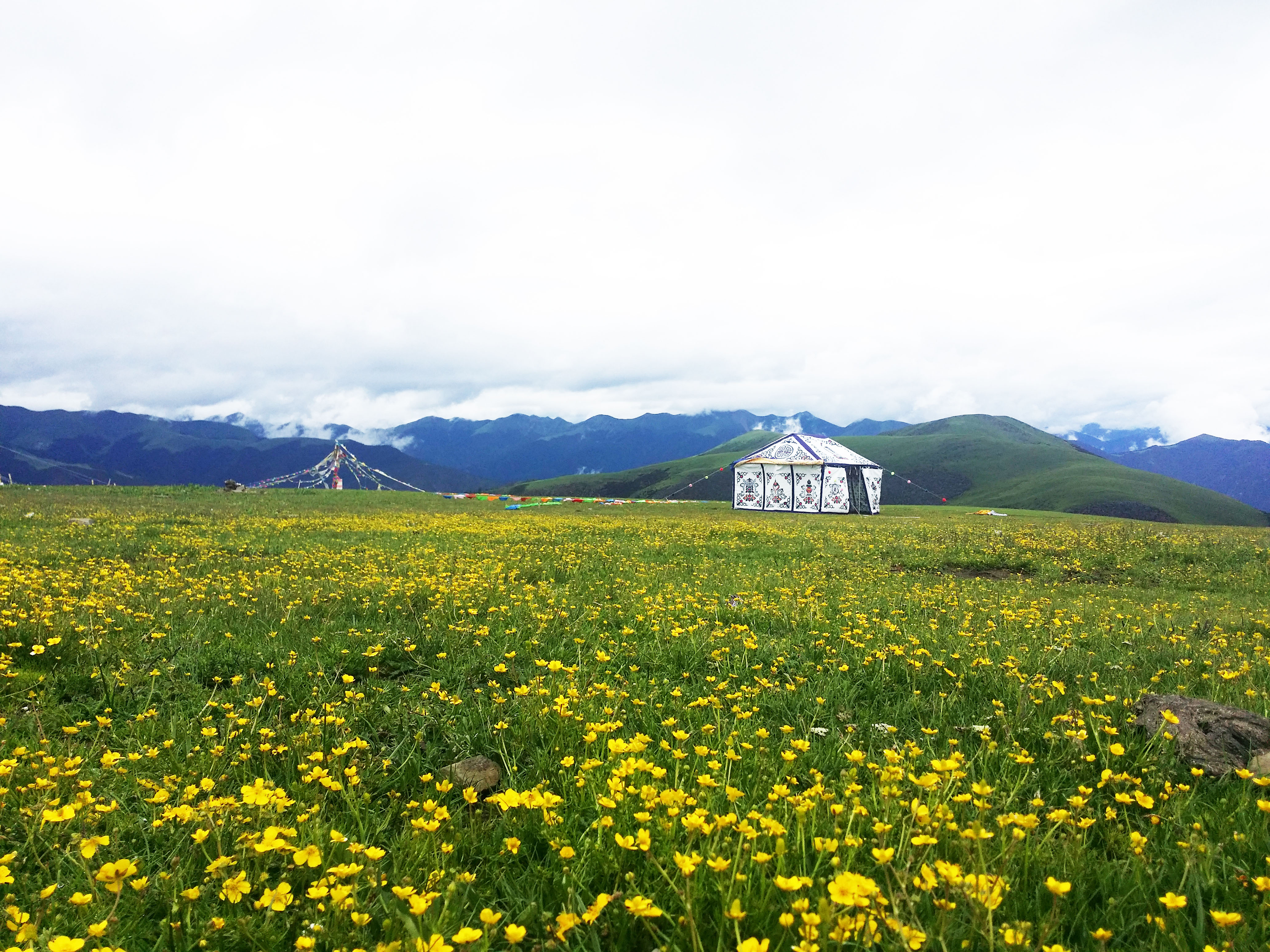 四川卡子拉山草甸景色美如画