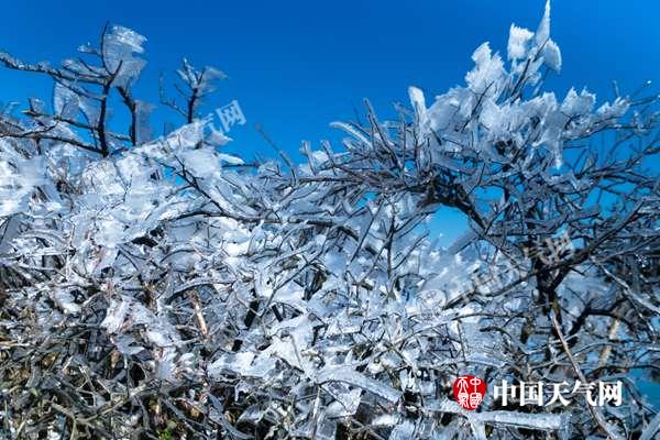 12月17日,邵阳市新邵县龙山出现雾凇景观(图/佘袁媛)