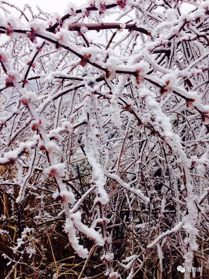 【百姓发布台】大家可以去螺丝壳赏雪景了!微友实拍:美极了!