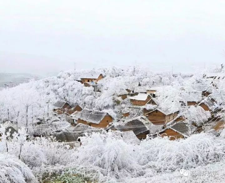 行走的昭通大山包雪景美炸了!