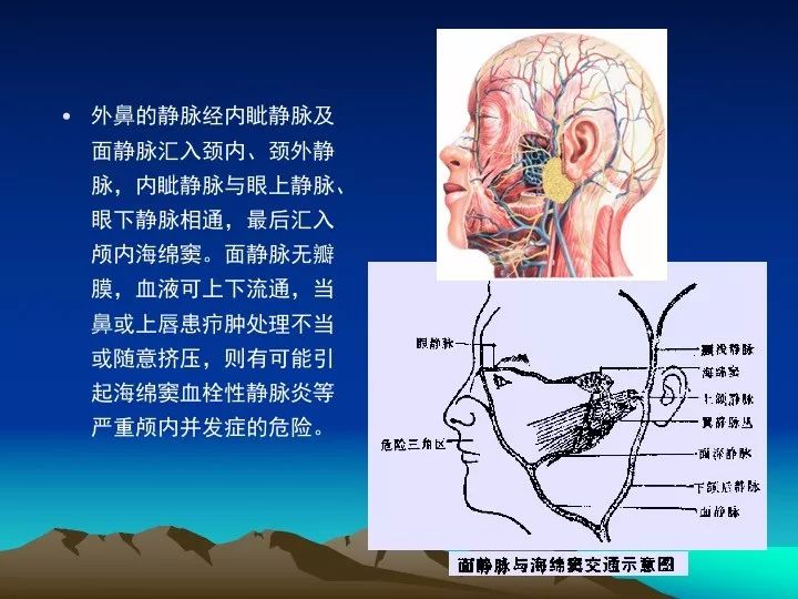 [学习资料]海绵窦的解剖