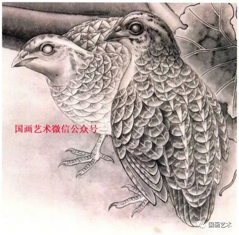 图文教程:传统工笔禽鸟着染步骤