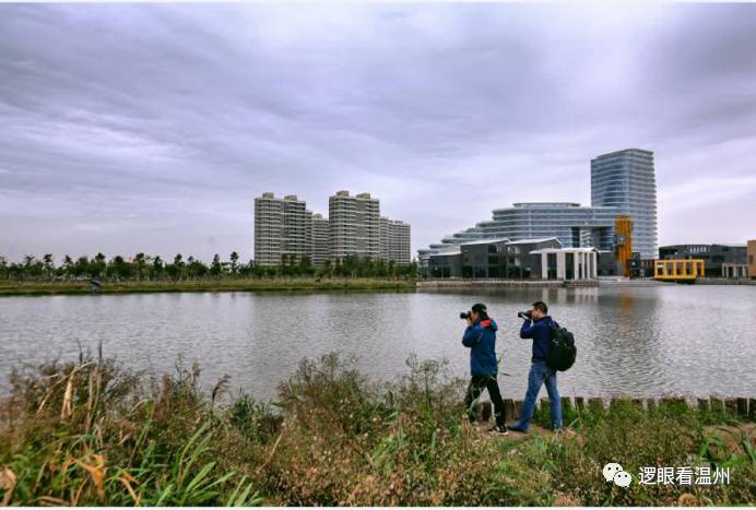 作品简介:金海湖公园美丽的景色,吸引了众多摄影师们前来采风.