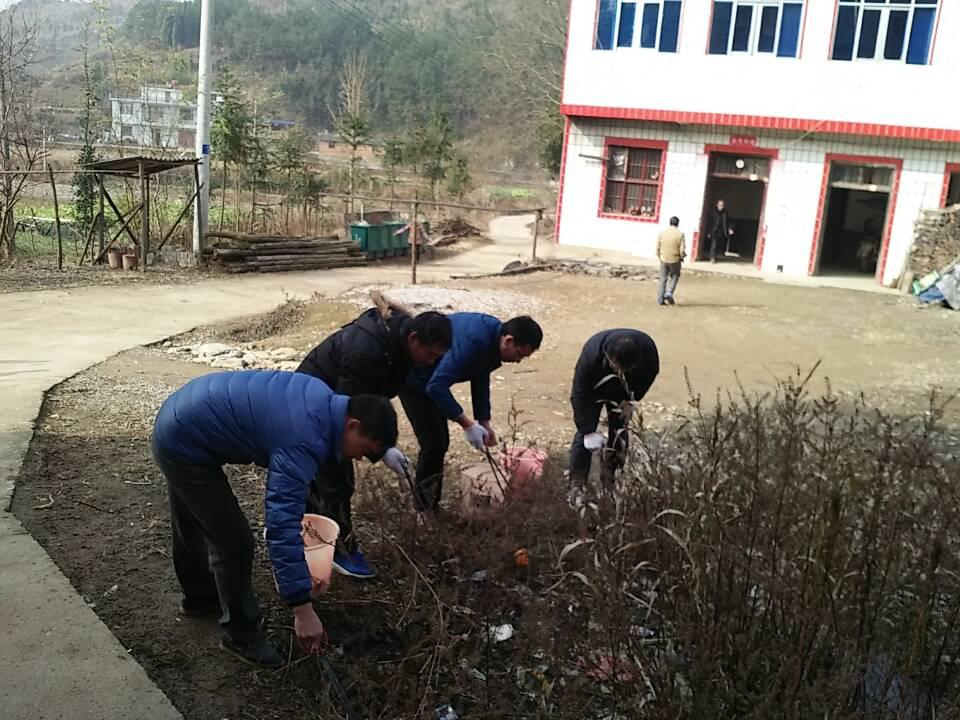 为迎接省政府对杨芳林乡农村生活垃圾治理检查验收,通山县杨芳林乡