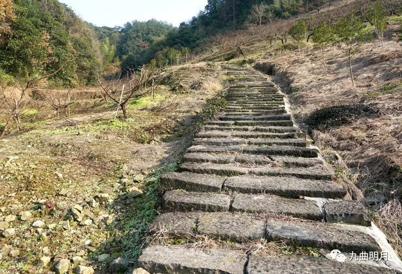 奉化曰岭古道的故事