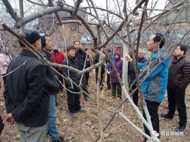 屈寨村人口_屈与宫村头像