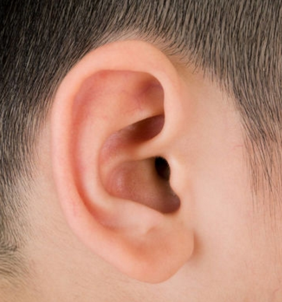 1,大耳稳重谨慎头脑清醒耳朵可分为上,中,下三部分:上为天轮,中为人轮