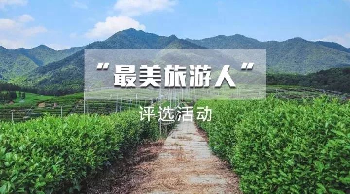 西湖区人口普查_人口普查