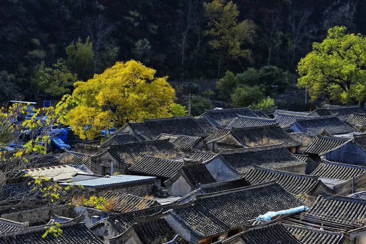 水峪嘴村