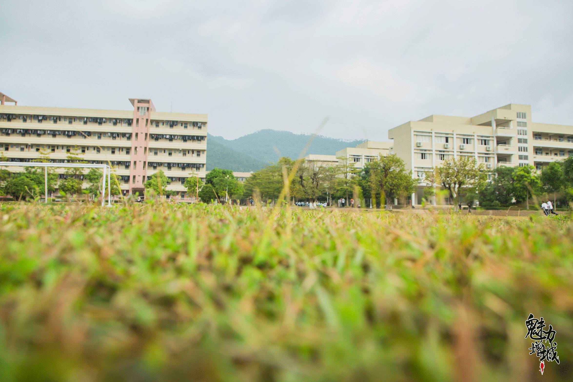 谢谢你,增城二中!