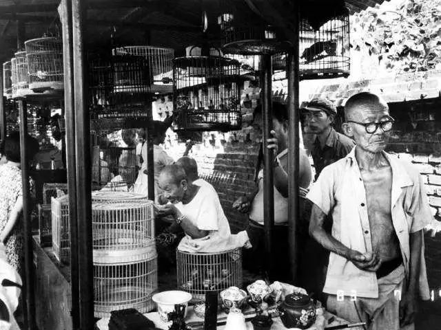 1983年,北京官园鸟市,民众逛鸟市,逗鸟.