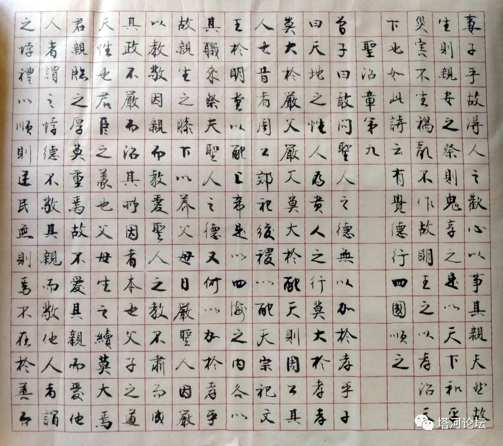 老树写字—孝经2