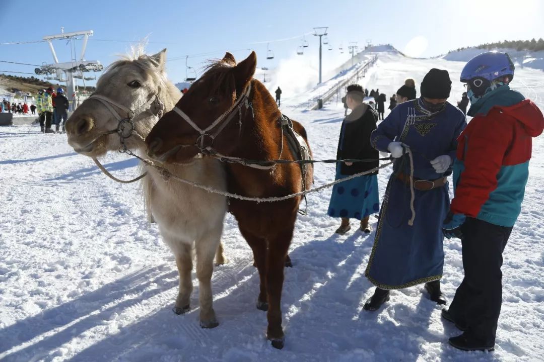 雪地骑马项目