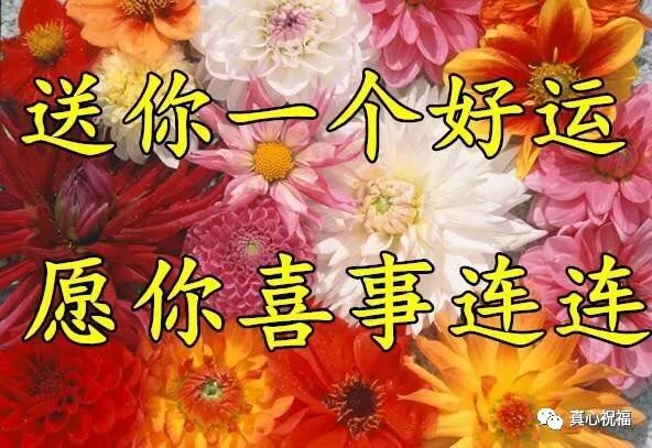 我今天为你祝福简谱